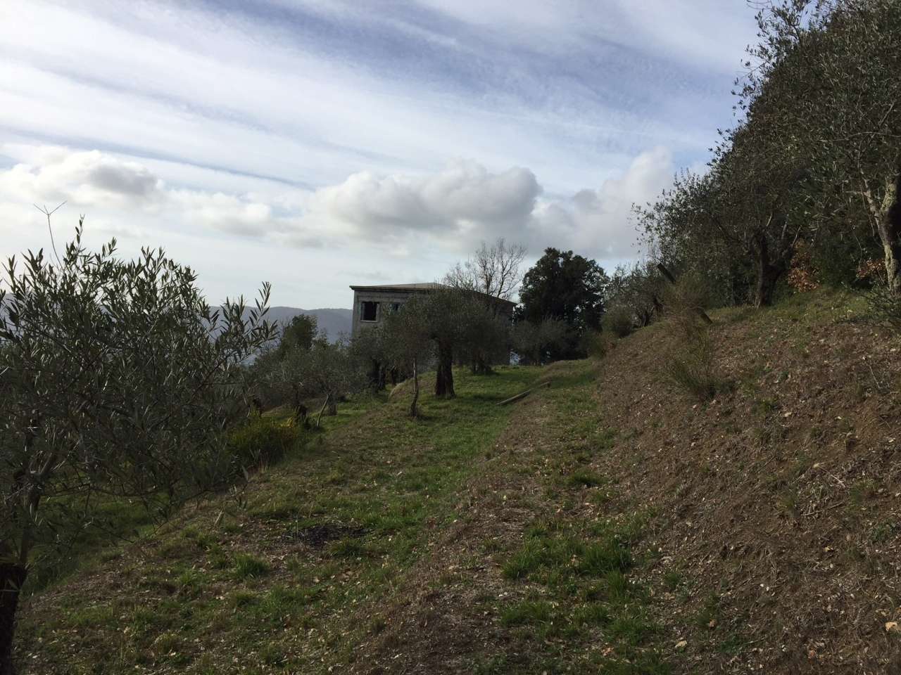  - foto 6