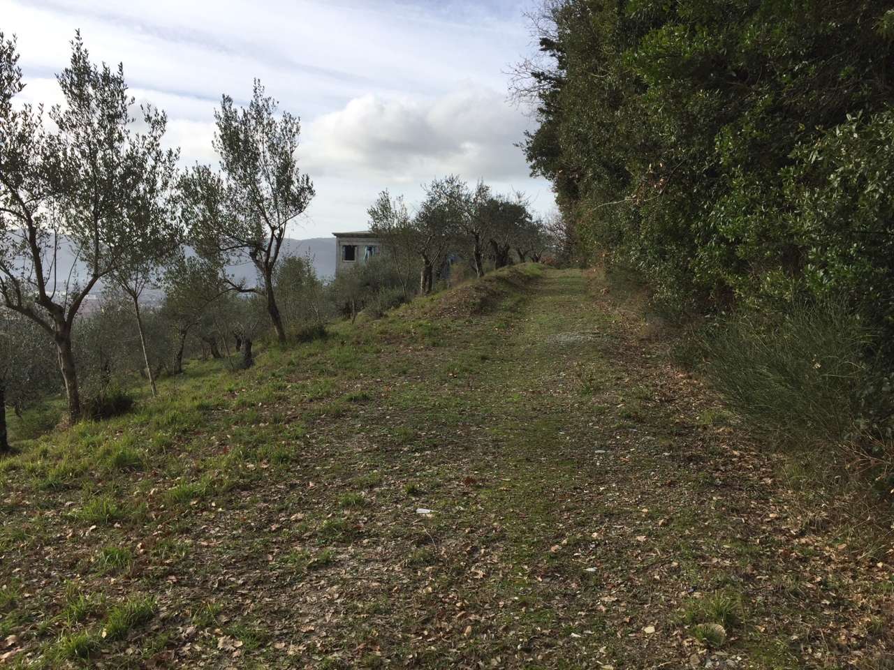  - foto 7