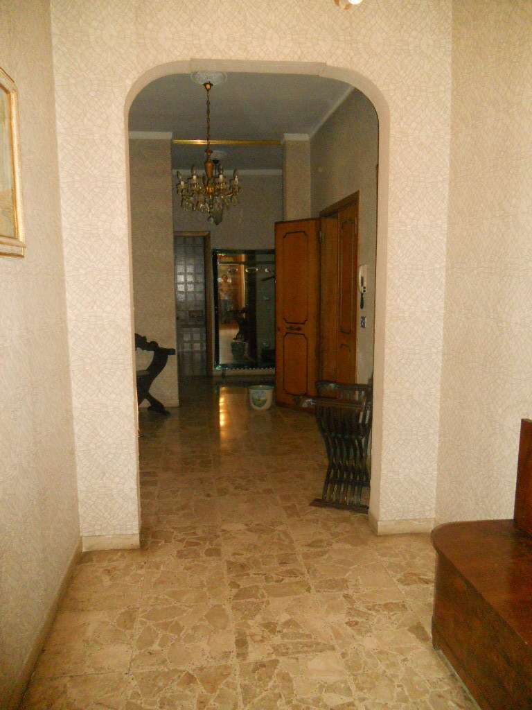 - foto 51