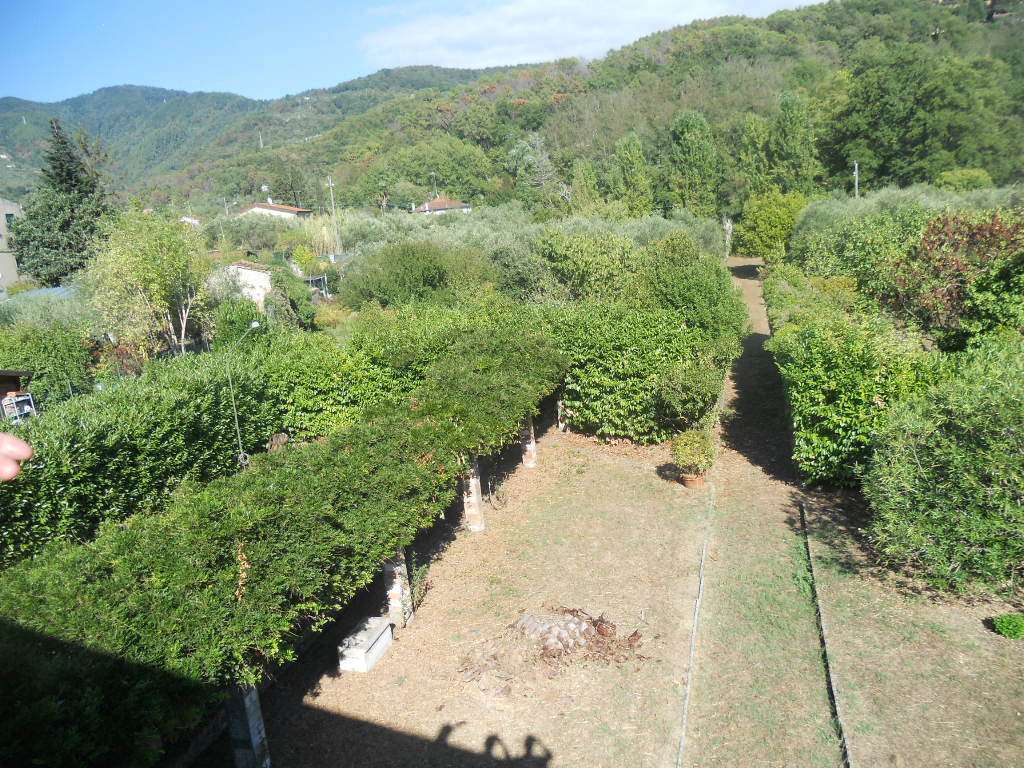  - foto 58