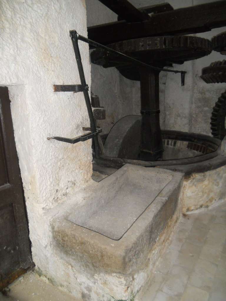  - foto 6