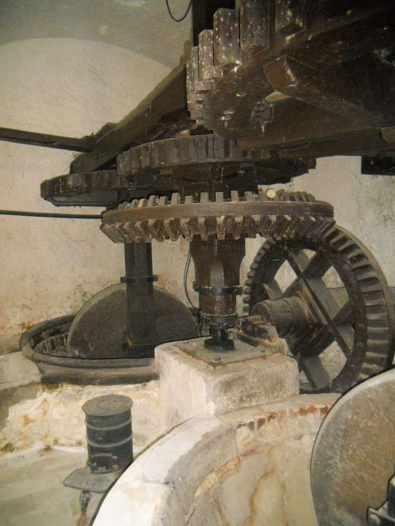  - foto 7