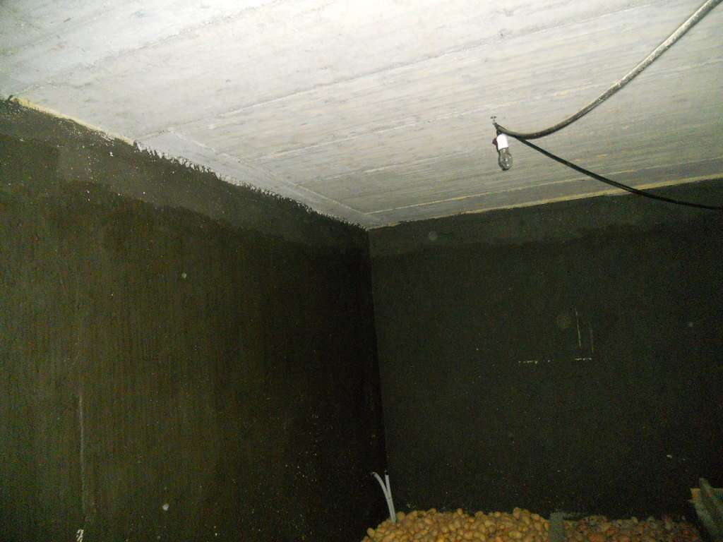 - foto 11