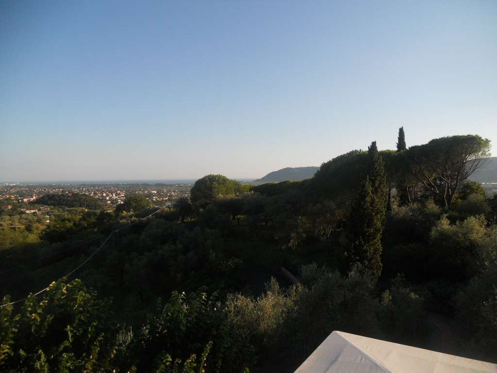  - foto 30