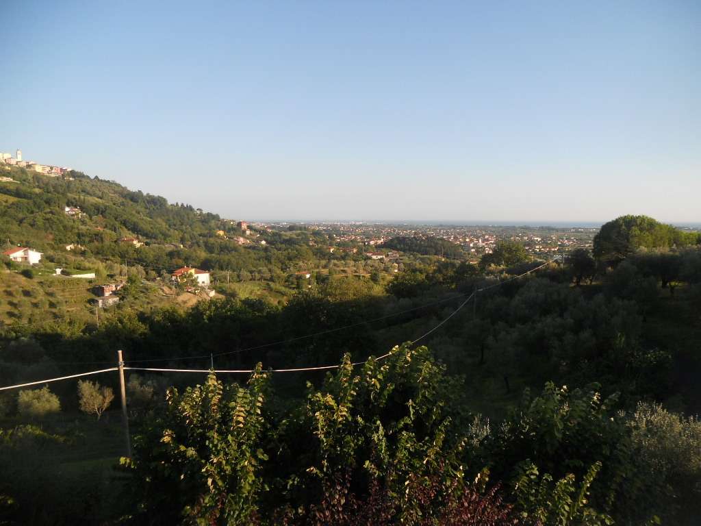  - foto 31