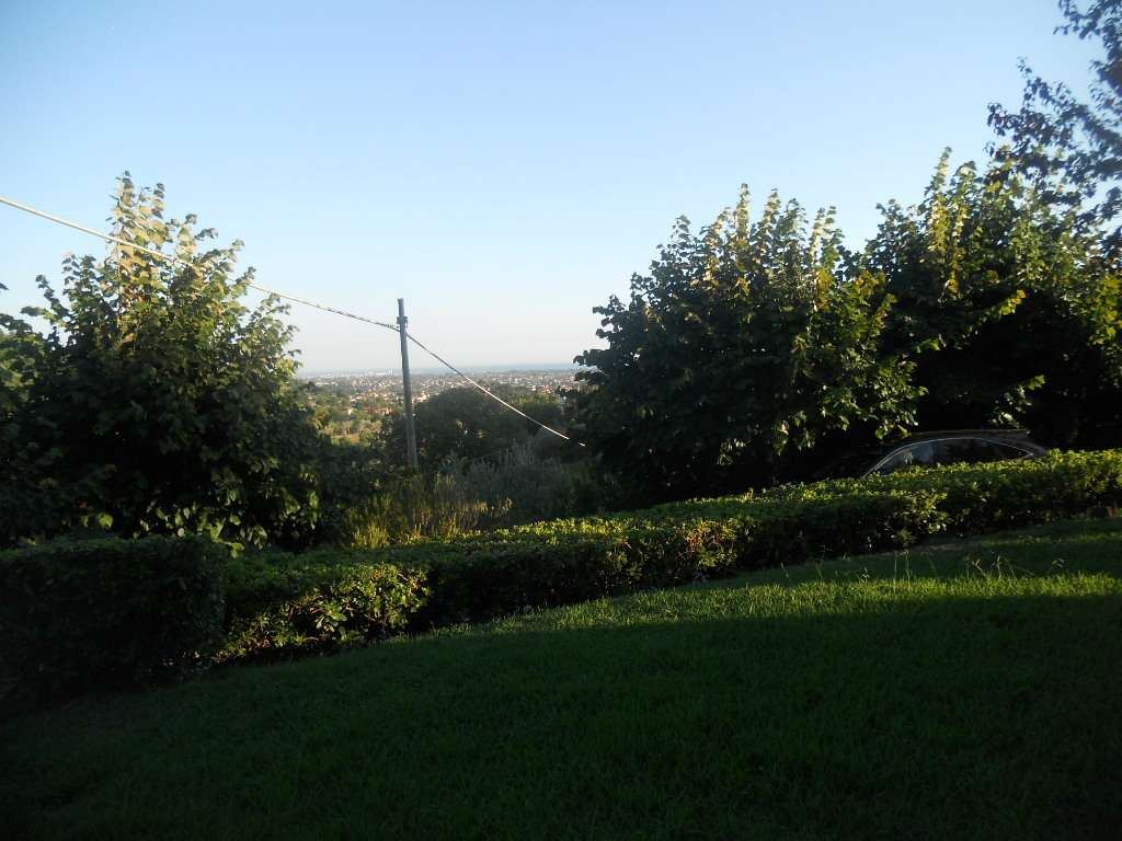  - foto 64
