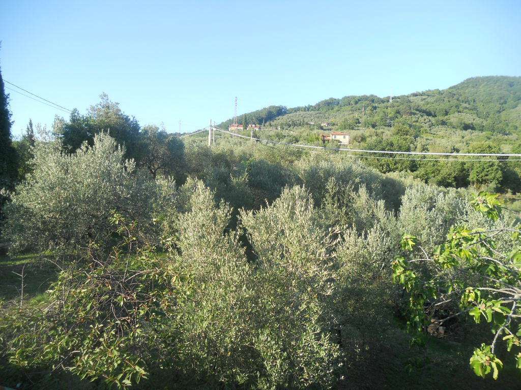  - foto 7