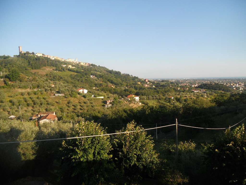 immagine annuncio 4 di 8
