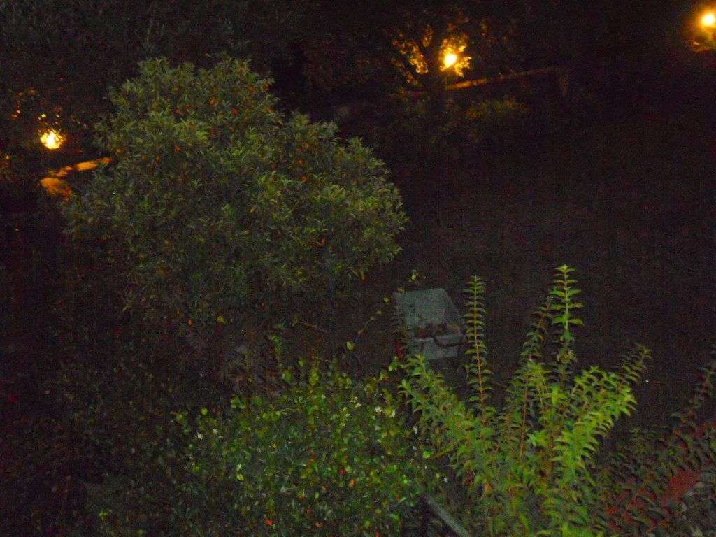  - foto 118