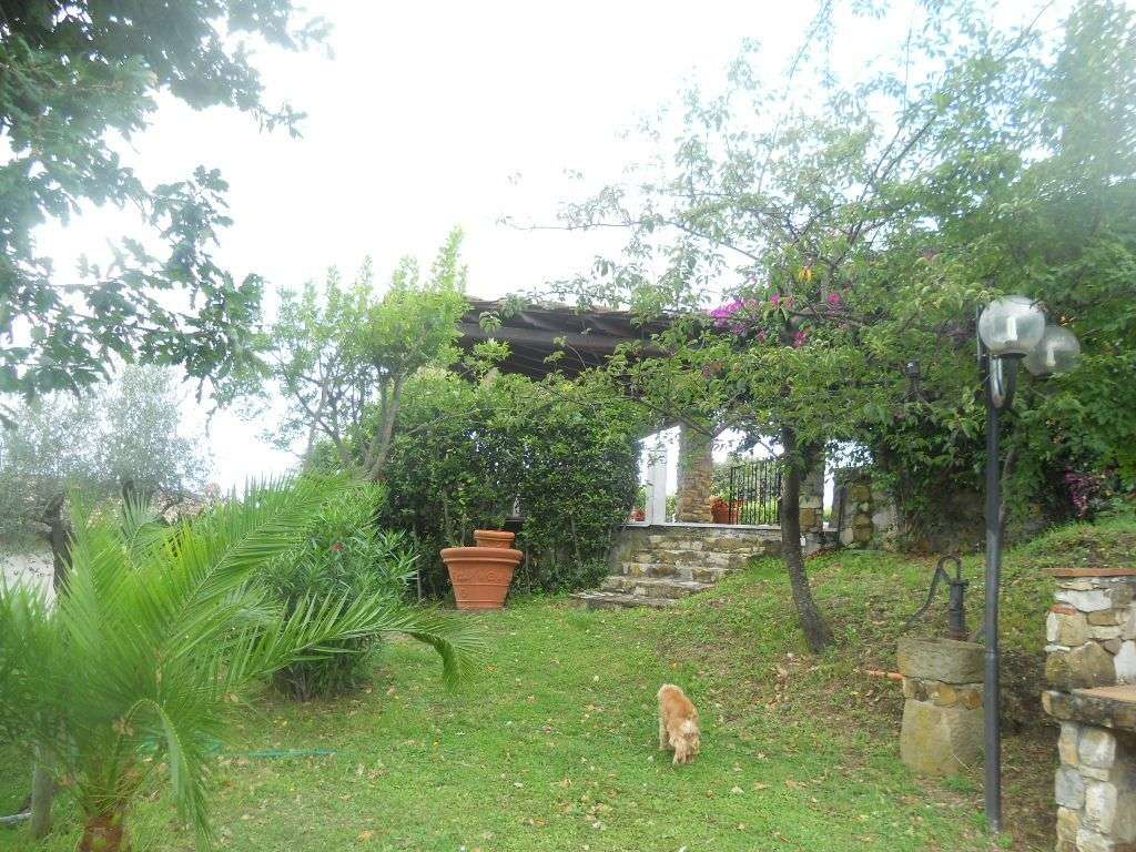  - foto 12