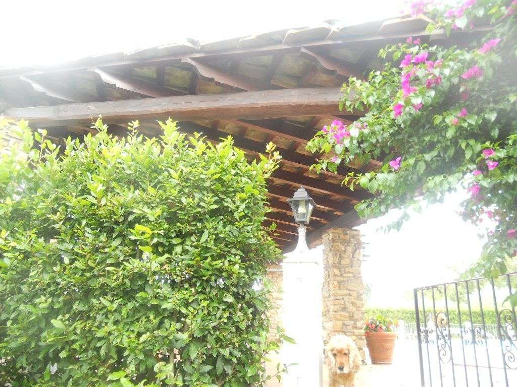  - foto 16