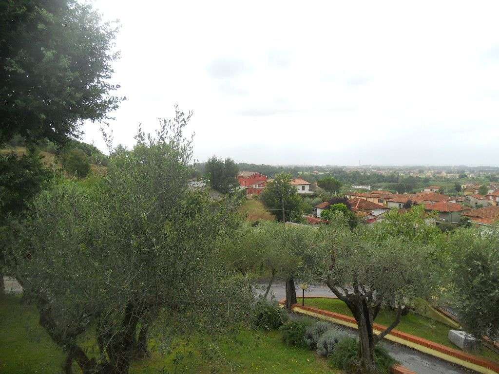  - foto 17