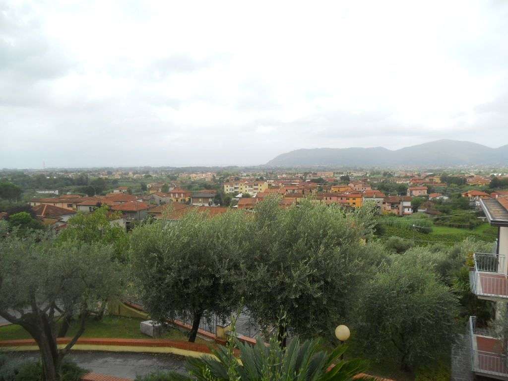  - foto 19