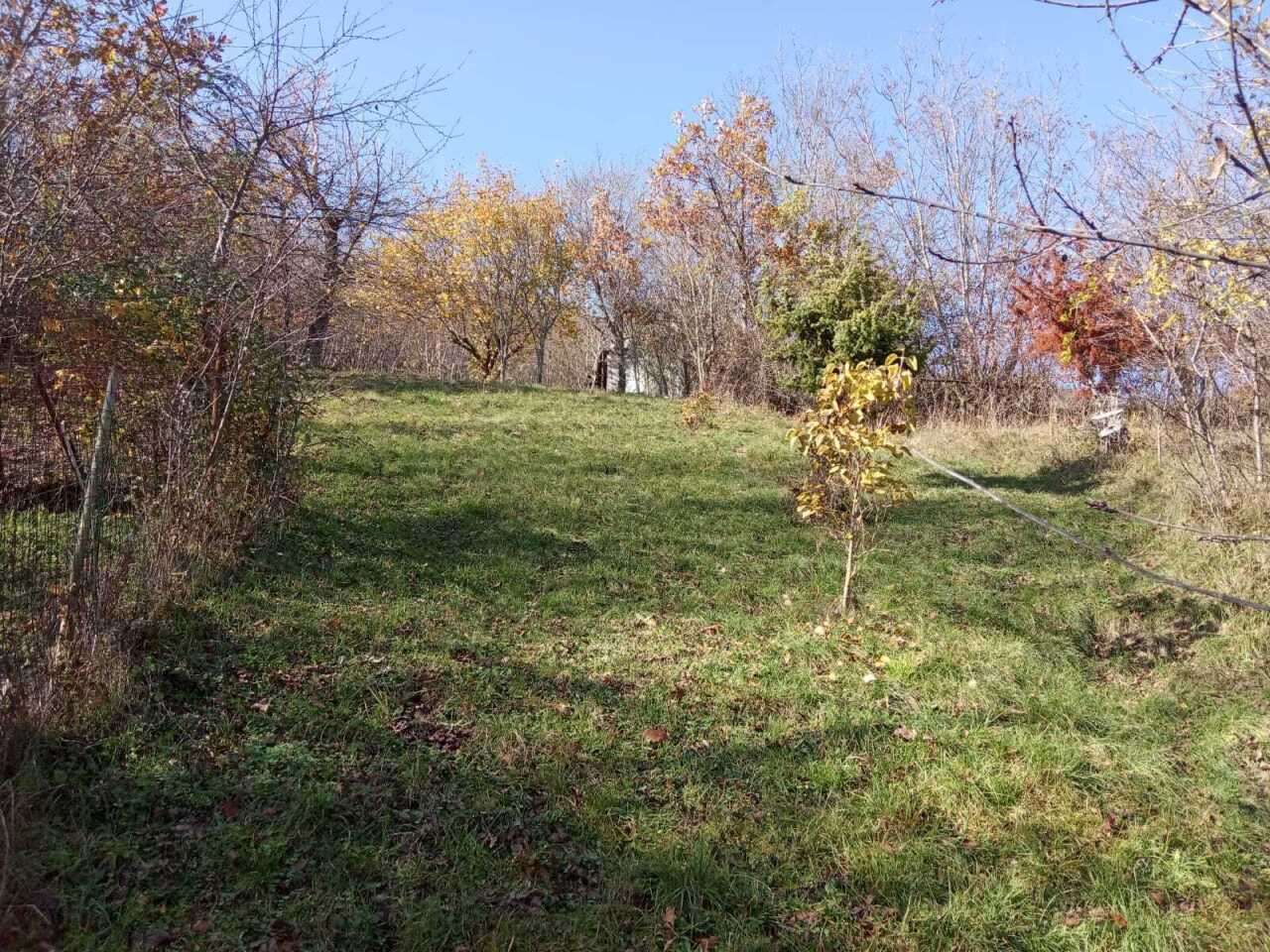  - foto 31