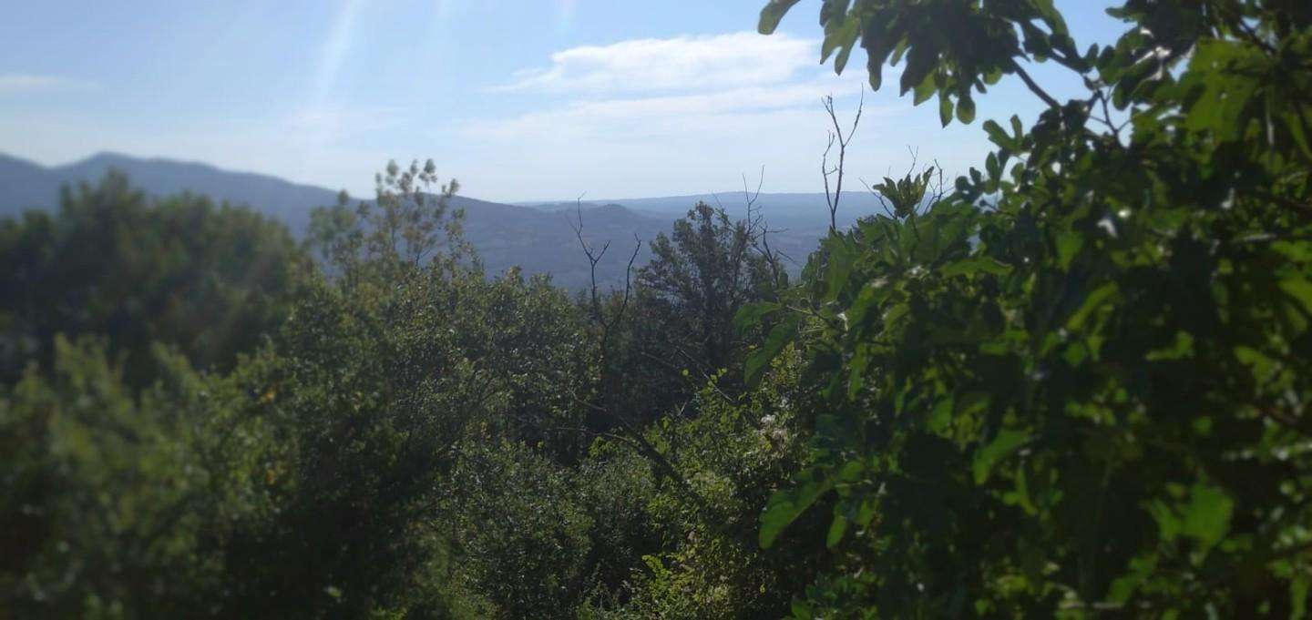  - foto 28