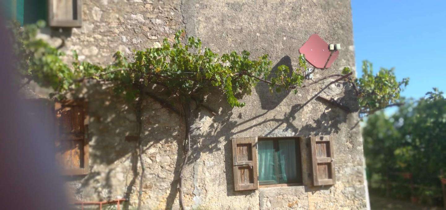  - foto 29