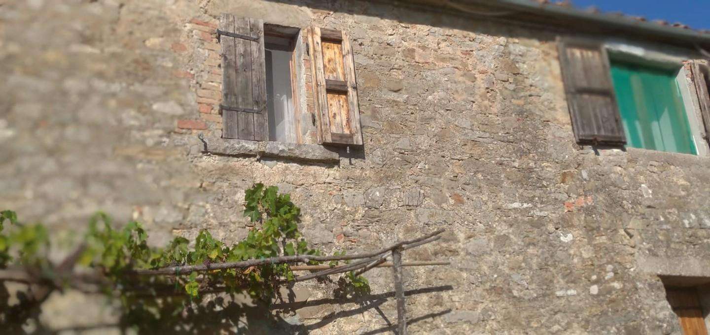 - foto 31