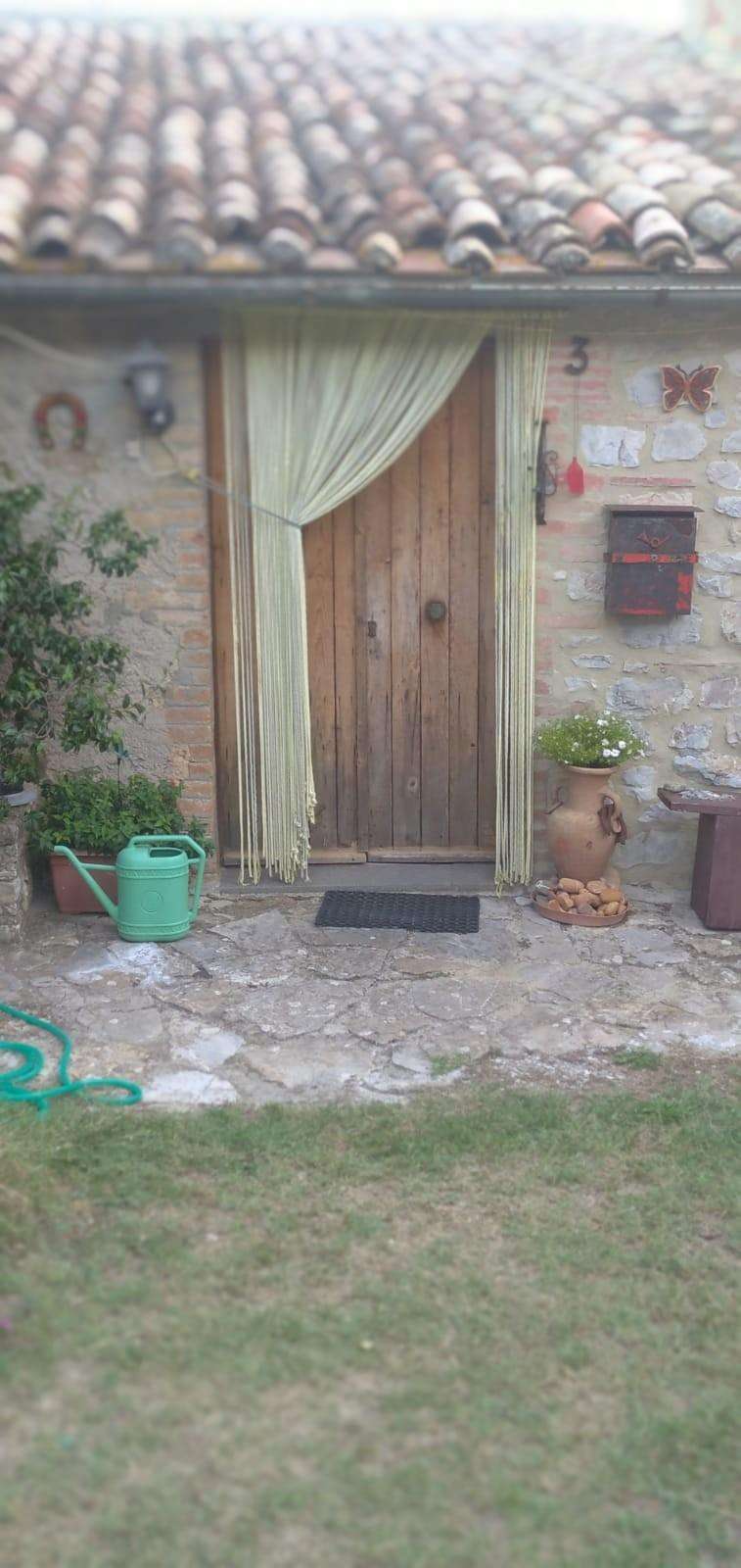  - foto 35