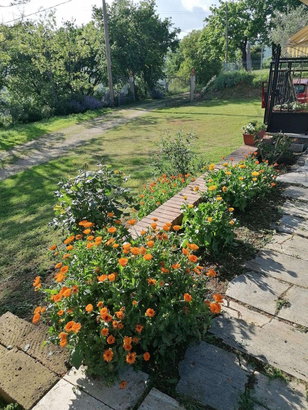  - foto 6