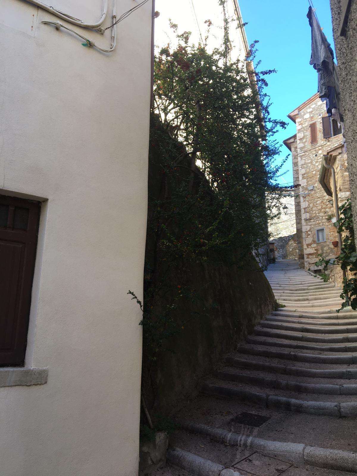  - foto 13