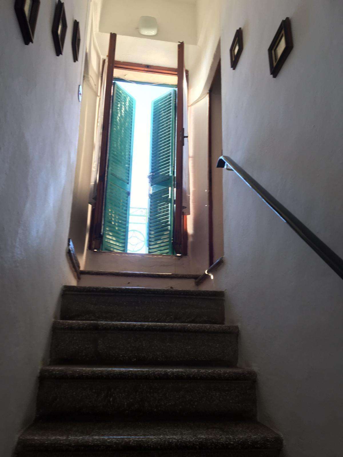  - foto 31