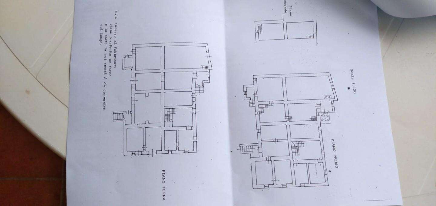  - foto 6