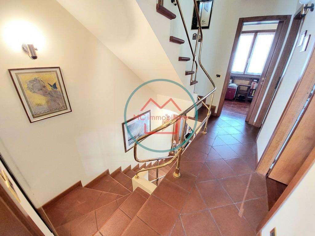  - foto 13