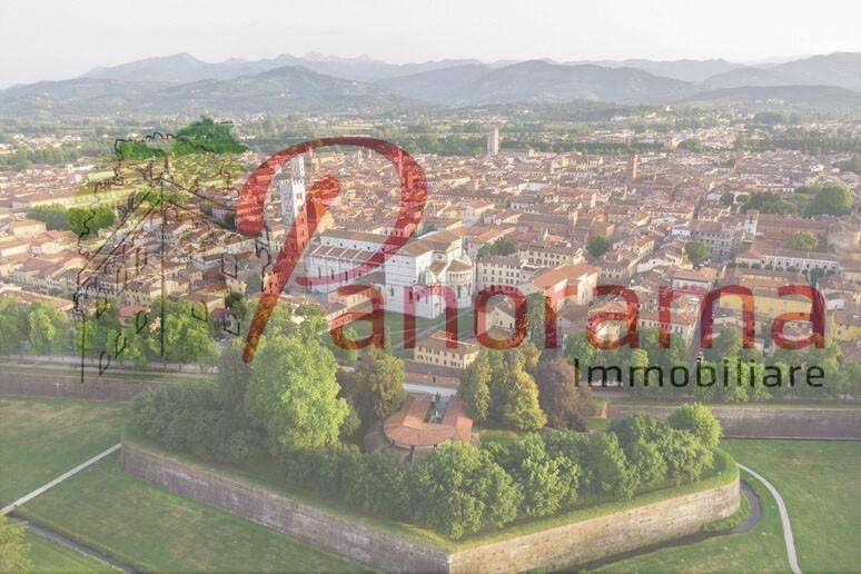 immagine annuncio 2 di 6