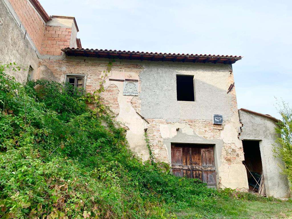 immagine annuncio 2 di 12