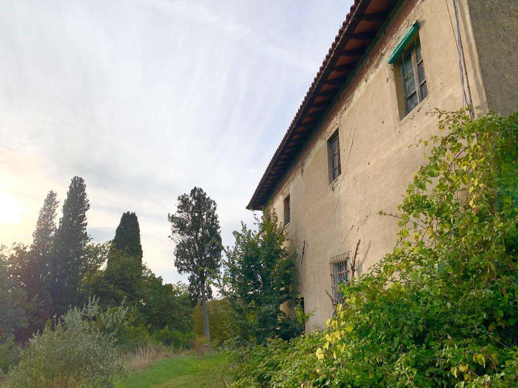 immagine annuncio 6 di 12