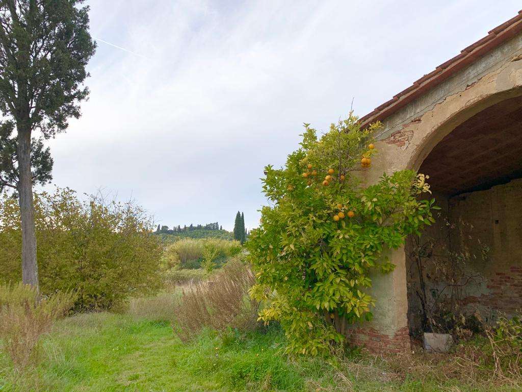 immagine annuncio 8 di 12