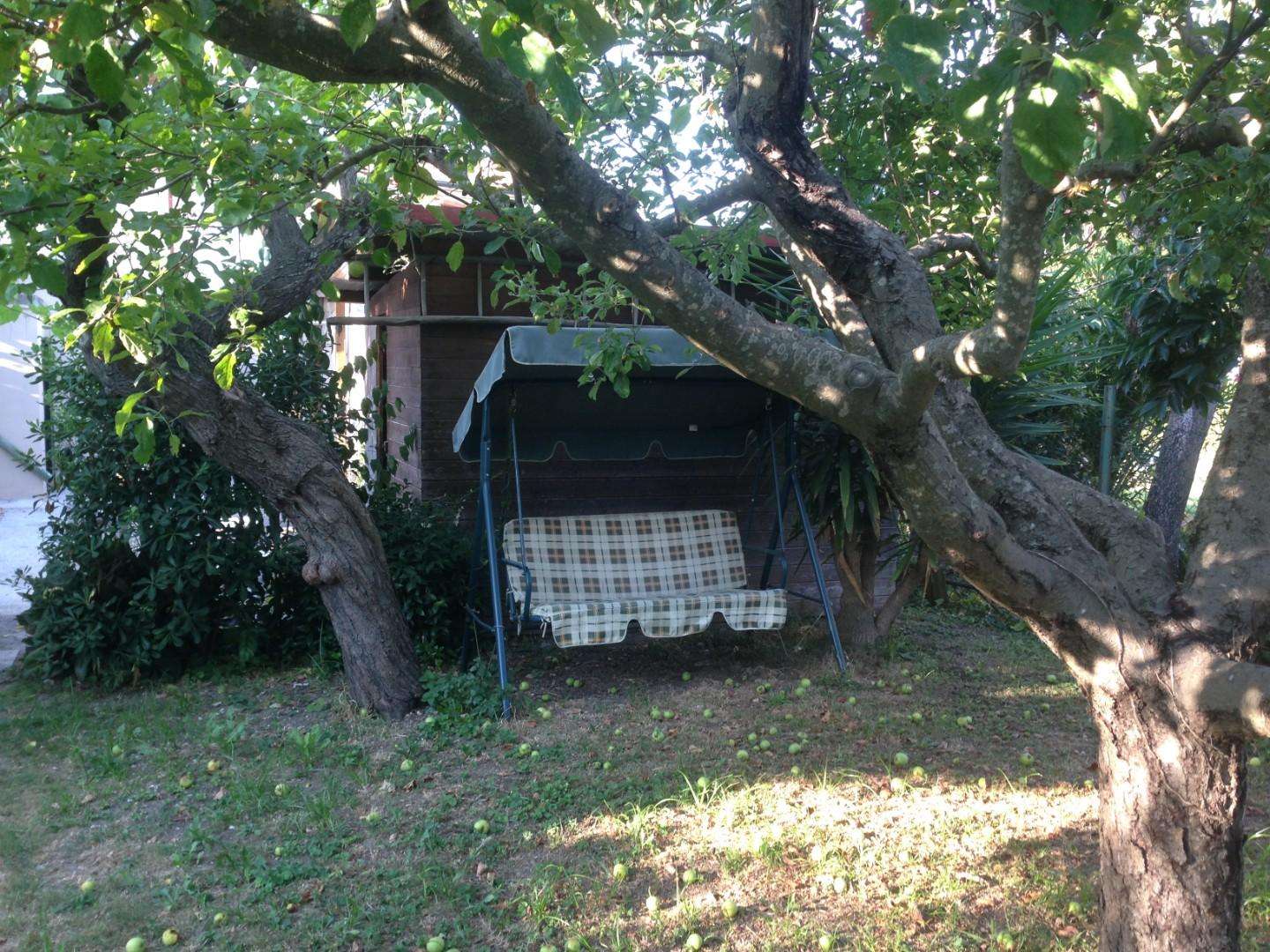  - foto 25