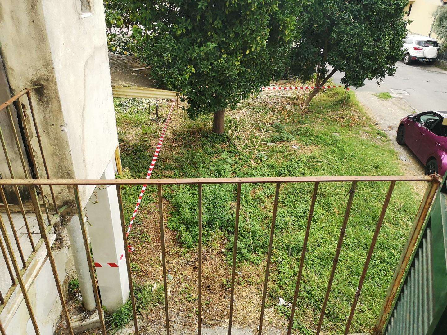  - foto 17