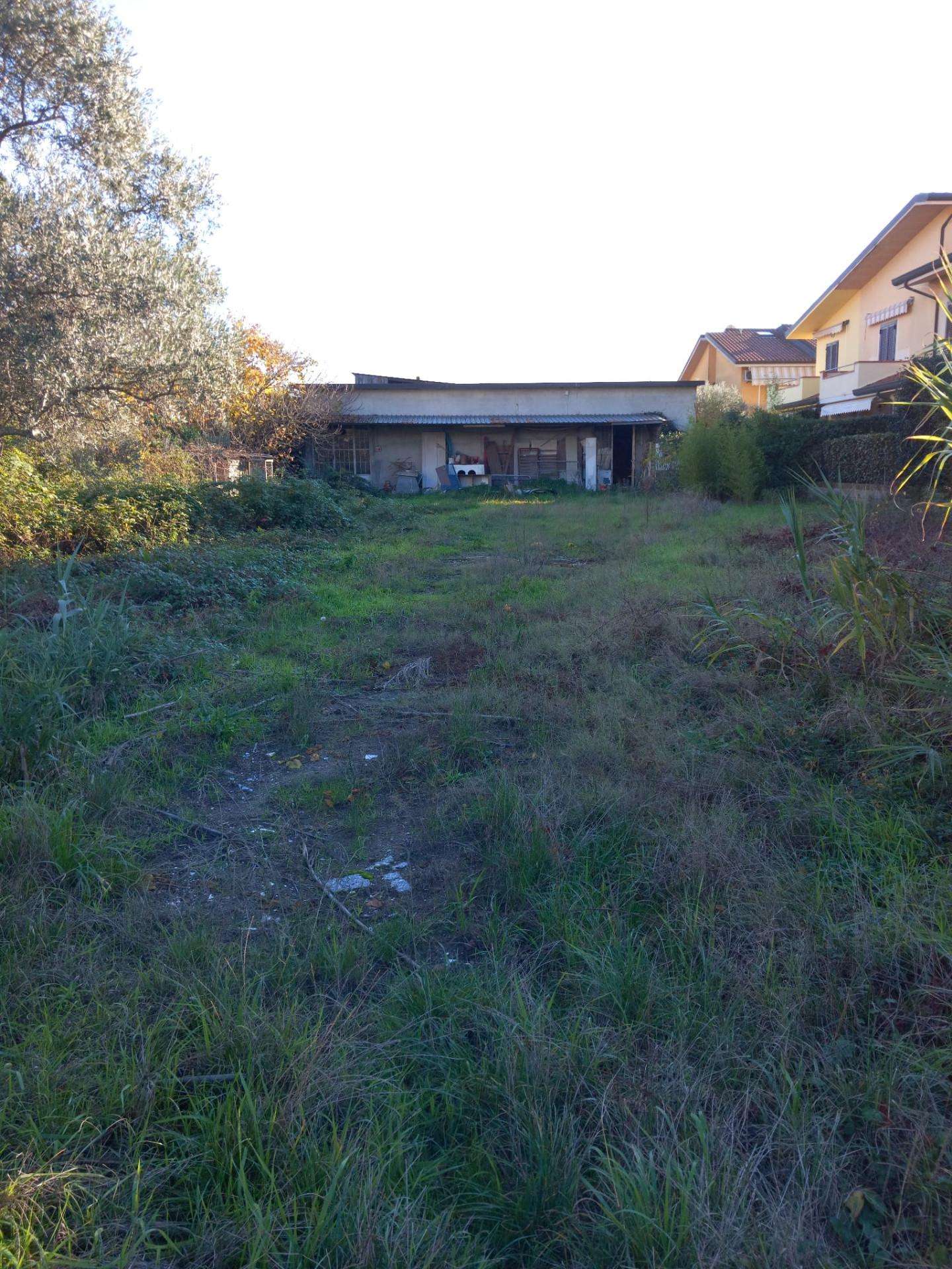 immagine annuncio 7 di 8