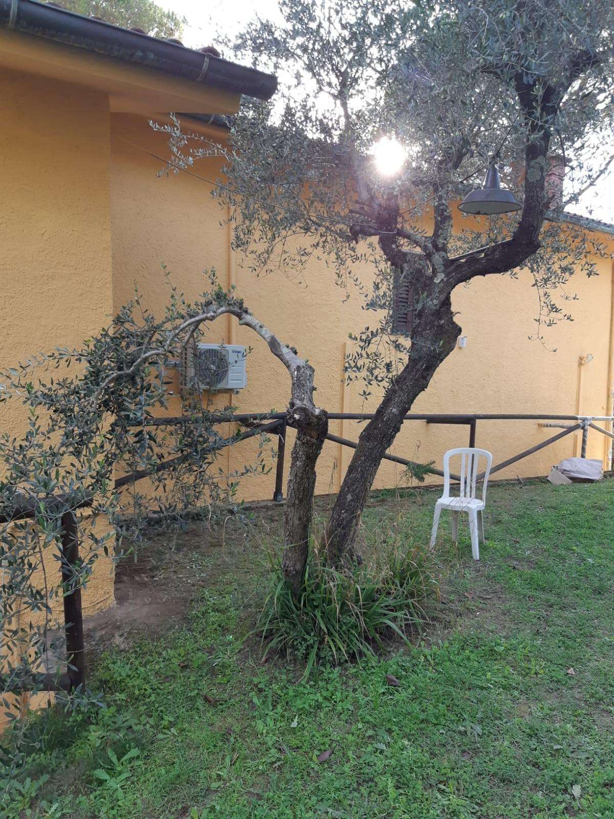  - foto 14
