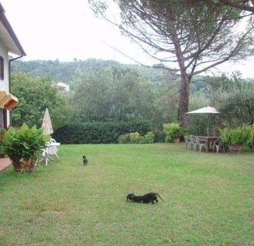  - foto 3