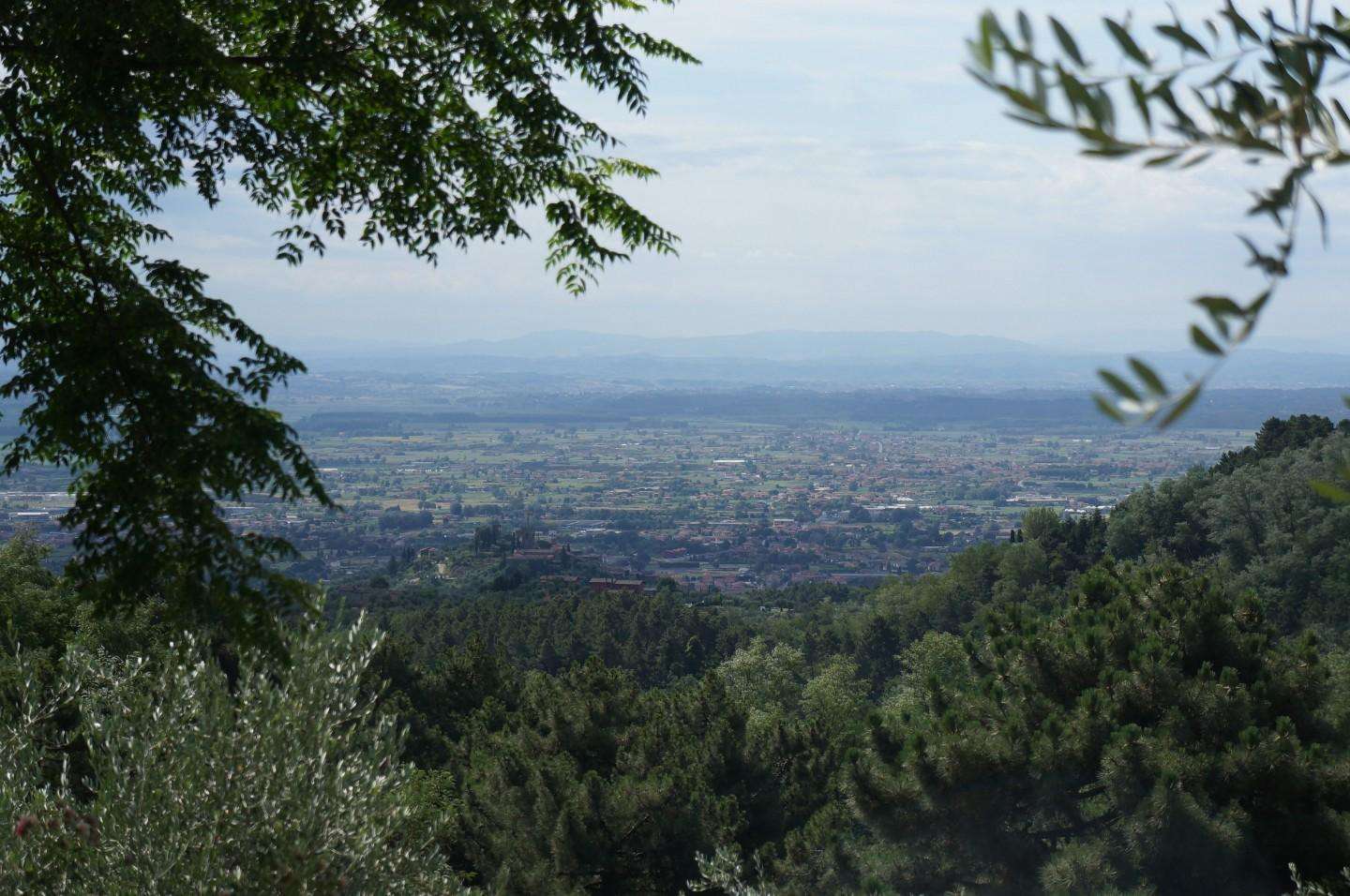  - foto 11