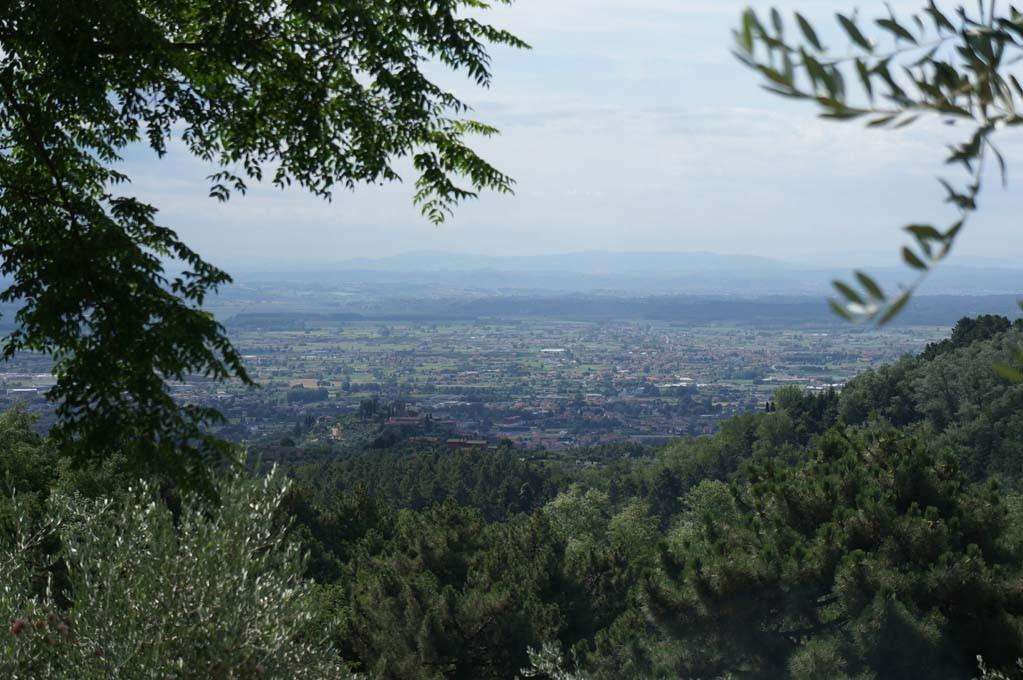  - foto 36