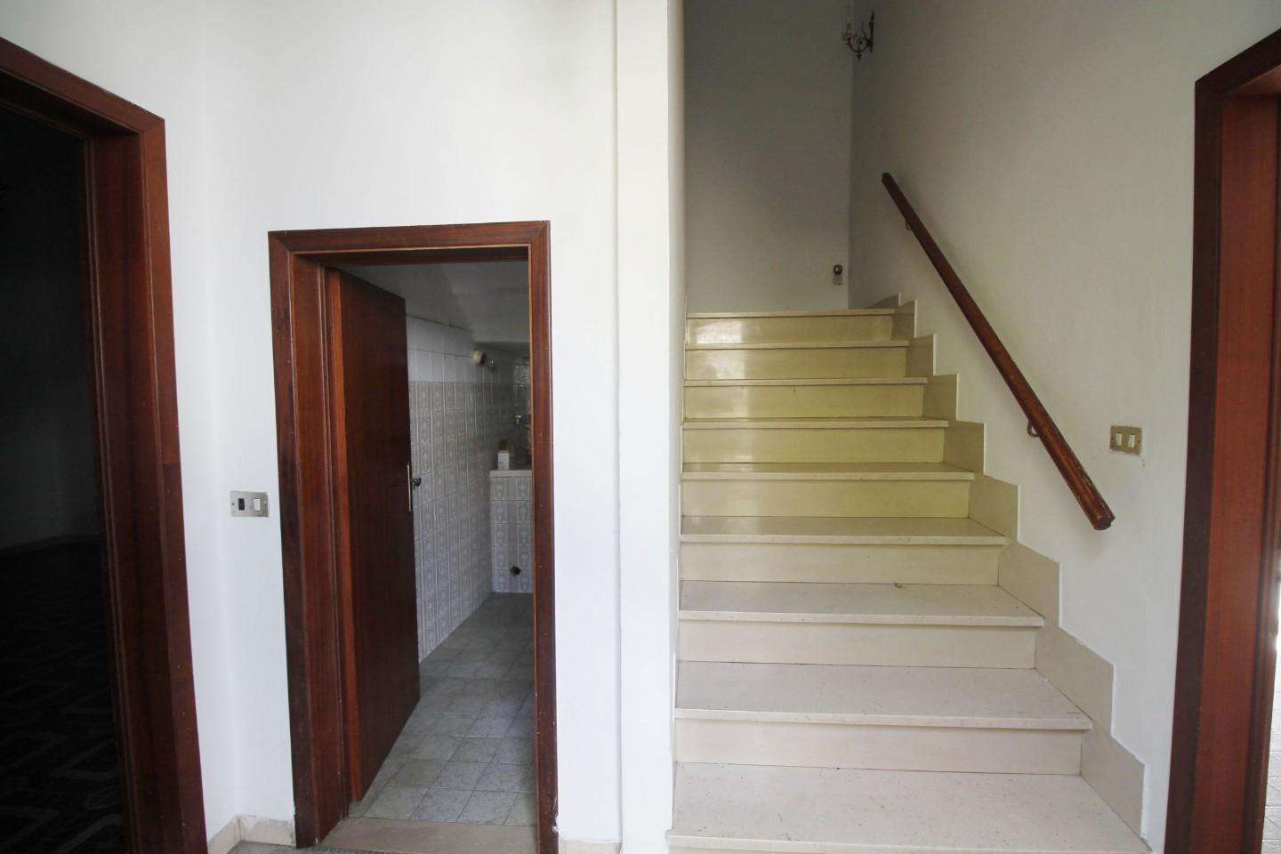 immagine annuncio 12 di 14