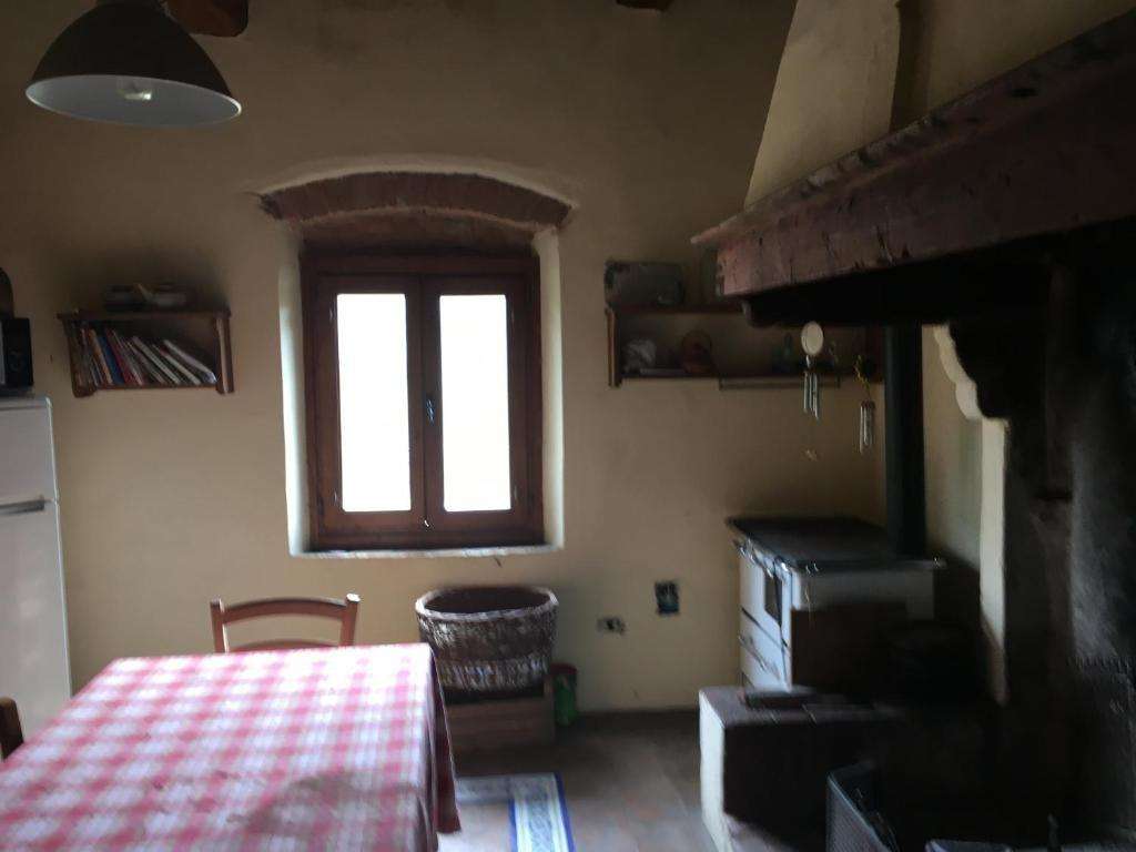  - foto 13