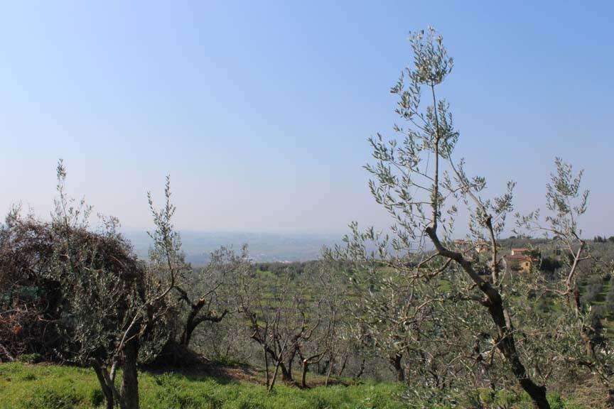  - foto 4