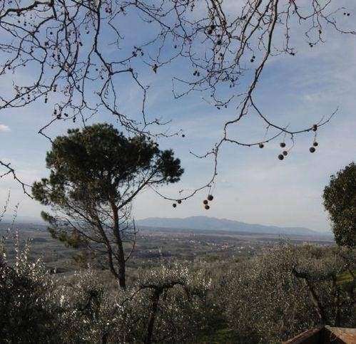  - foto 13