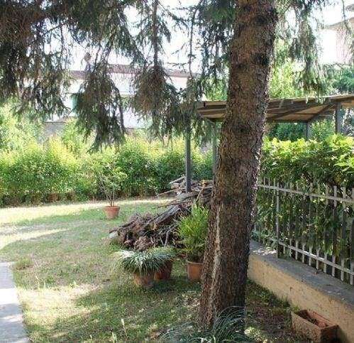  - foto 12