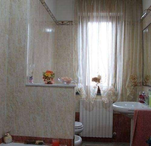 - foto 6