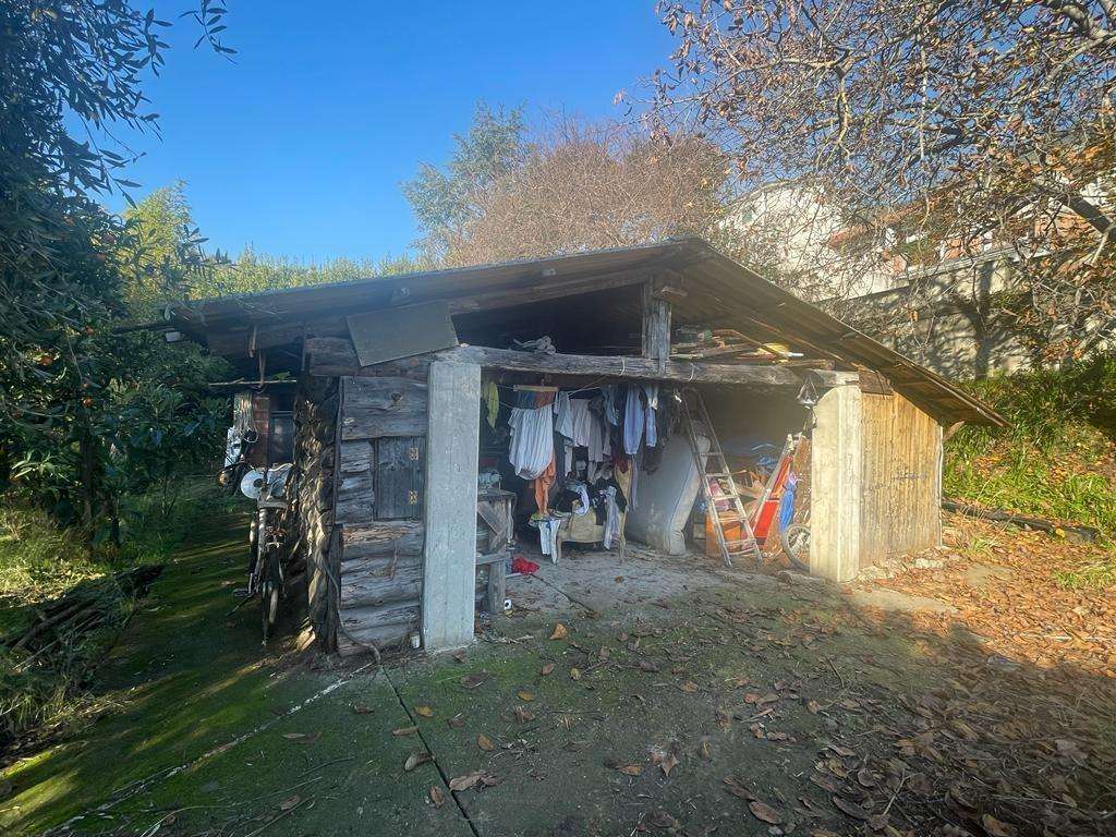 Terreno agricolo in Vendita a Massa Via Luigi del Mancino, 30