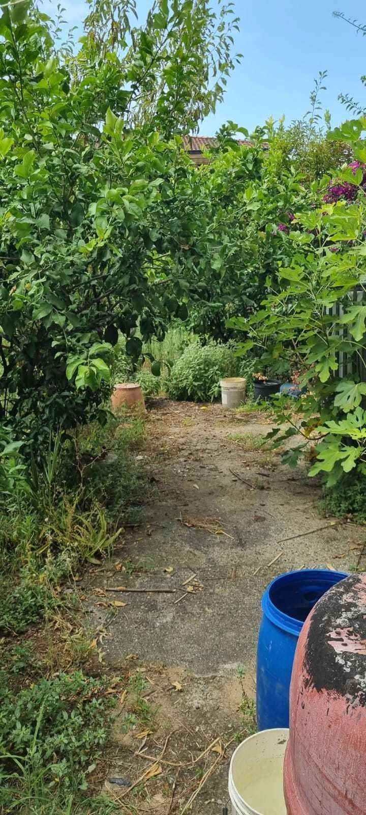  - foto 5