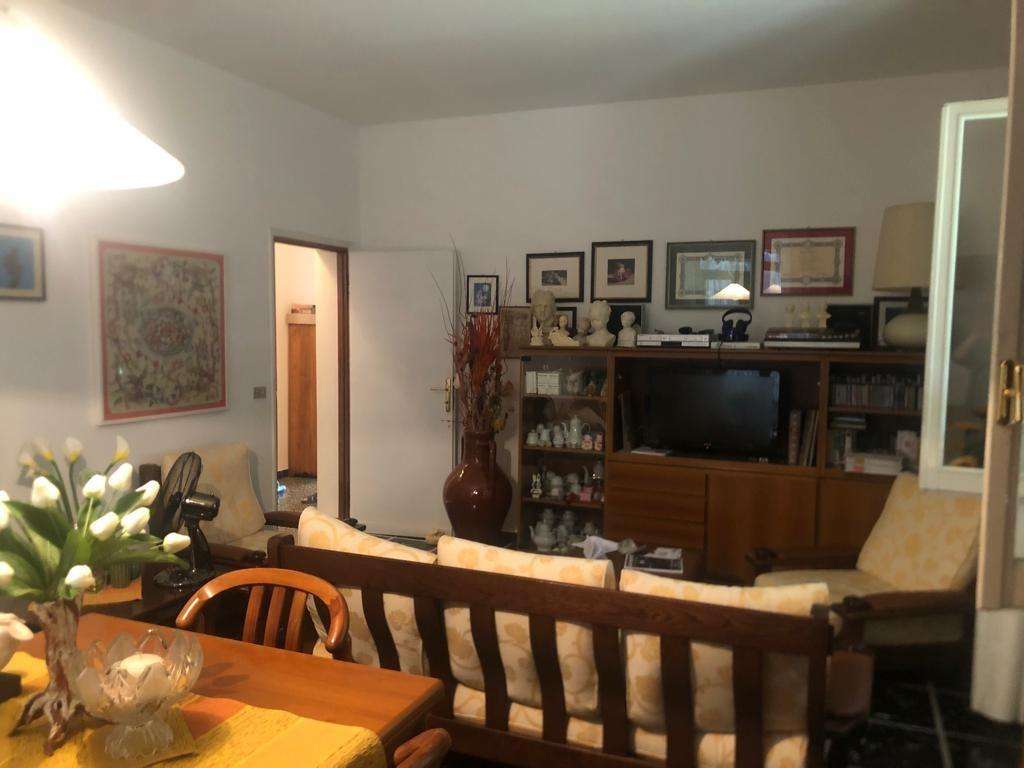  - foto 7