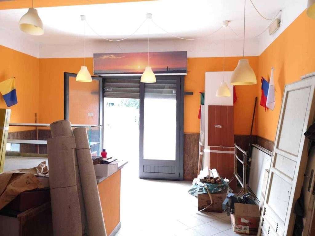 immagine annuncio 6 di 13