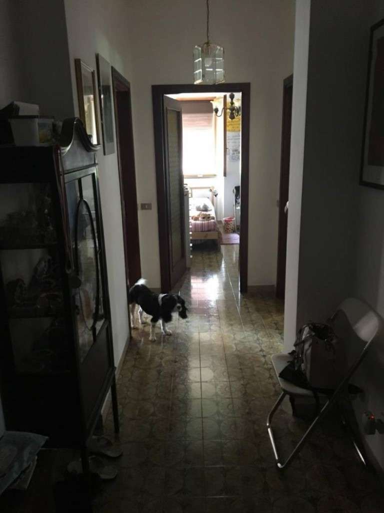 immagine annuncio 7 di 9