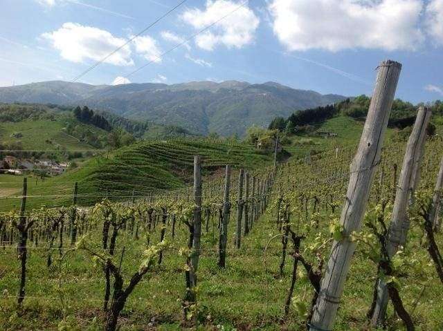 Capannone, Massa